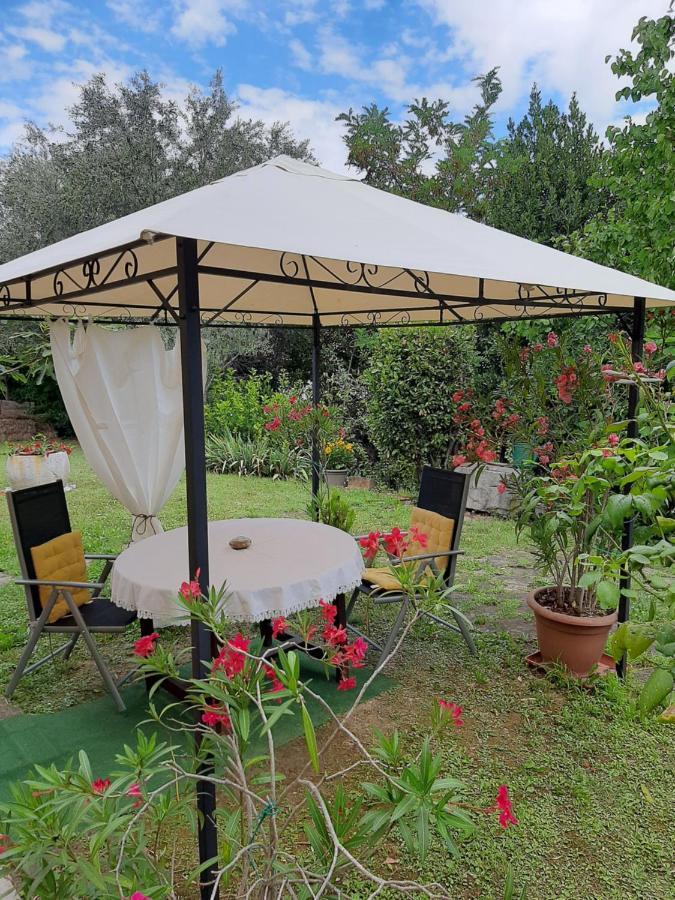 Studio With Garden Near The Sea Koper Eksteriør billede