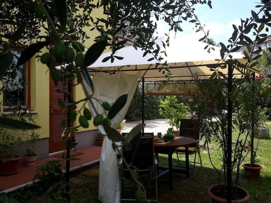 Studio With Garden Near The Sea Koper Eksteriør billede